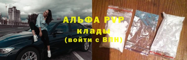 PSILOCYBIN Белокуриха