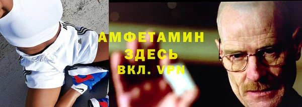 PSILOCYBIN Белокуриха