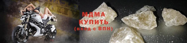 прущие грибы Балабаново