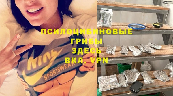 прущие грибы Балабаново
