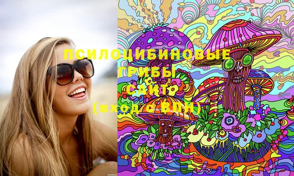PSILOCYBIN Белокуриха