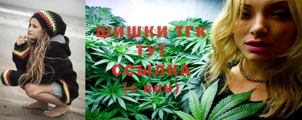 PSILOCYBIN Белокуриха