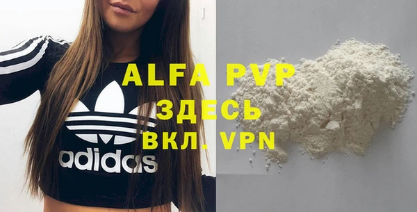 PSILOCYBIN Белокуриха