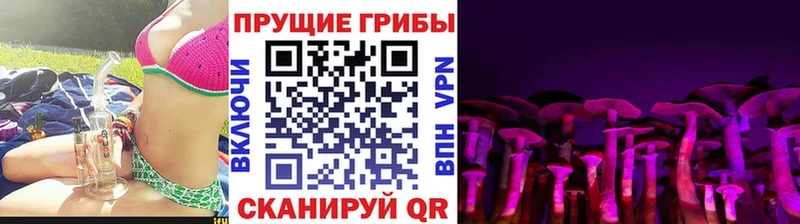 Галлюциногенные грибы прущие грибы  Красный Холм 